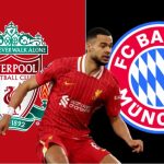 Exclusive: Liverpool’s transfer stance on Cody Gakpo amid ongoing talks with Bayern Munich