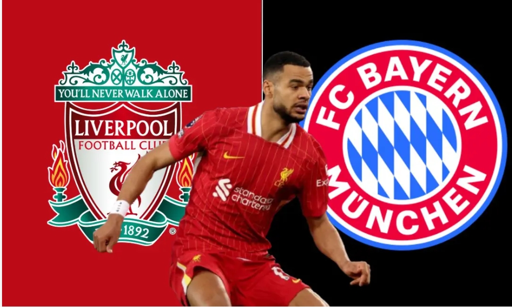 Exclusive: Liverpool’s transfer stance on Cody Gakpo amid ongoing talks with Bayern Munich